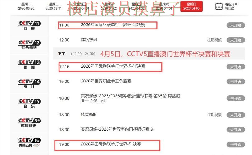 世界杯竞猜网站盘点合集：覆盖直播入口与入口方式 - 世界杯直播